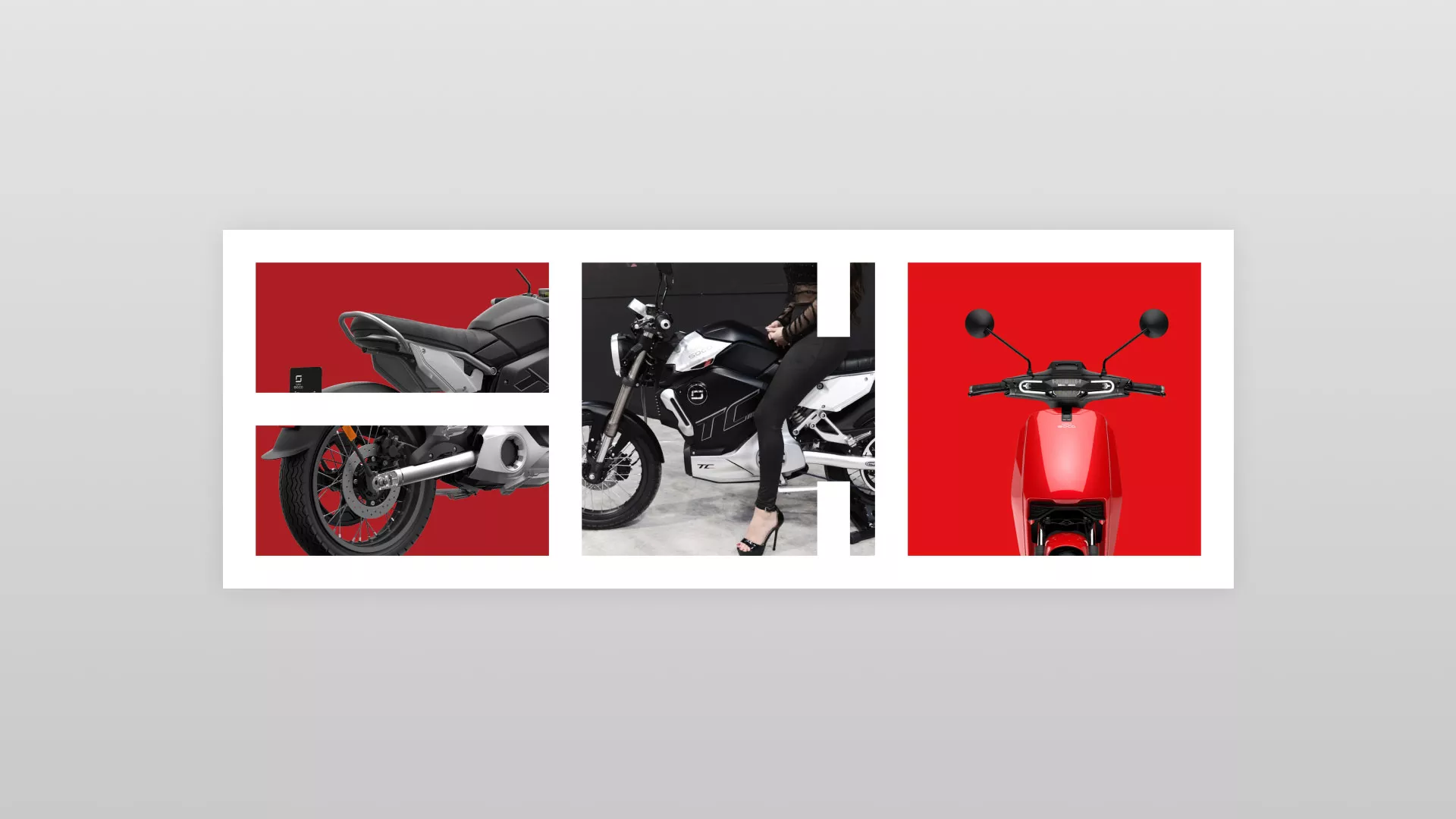 Разработка логотипа компании в Сегеже