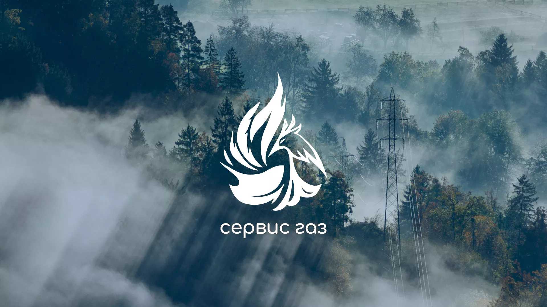 Создание сайта компании «Сервис газ» в Сегеже