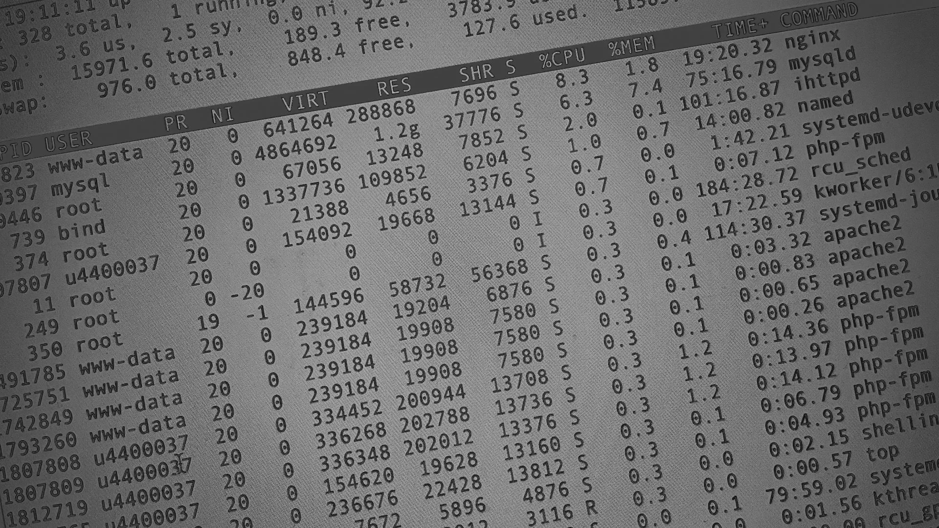 Настройка сервера в Сегеже