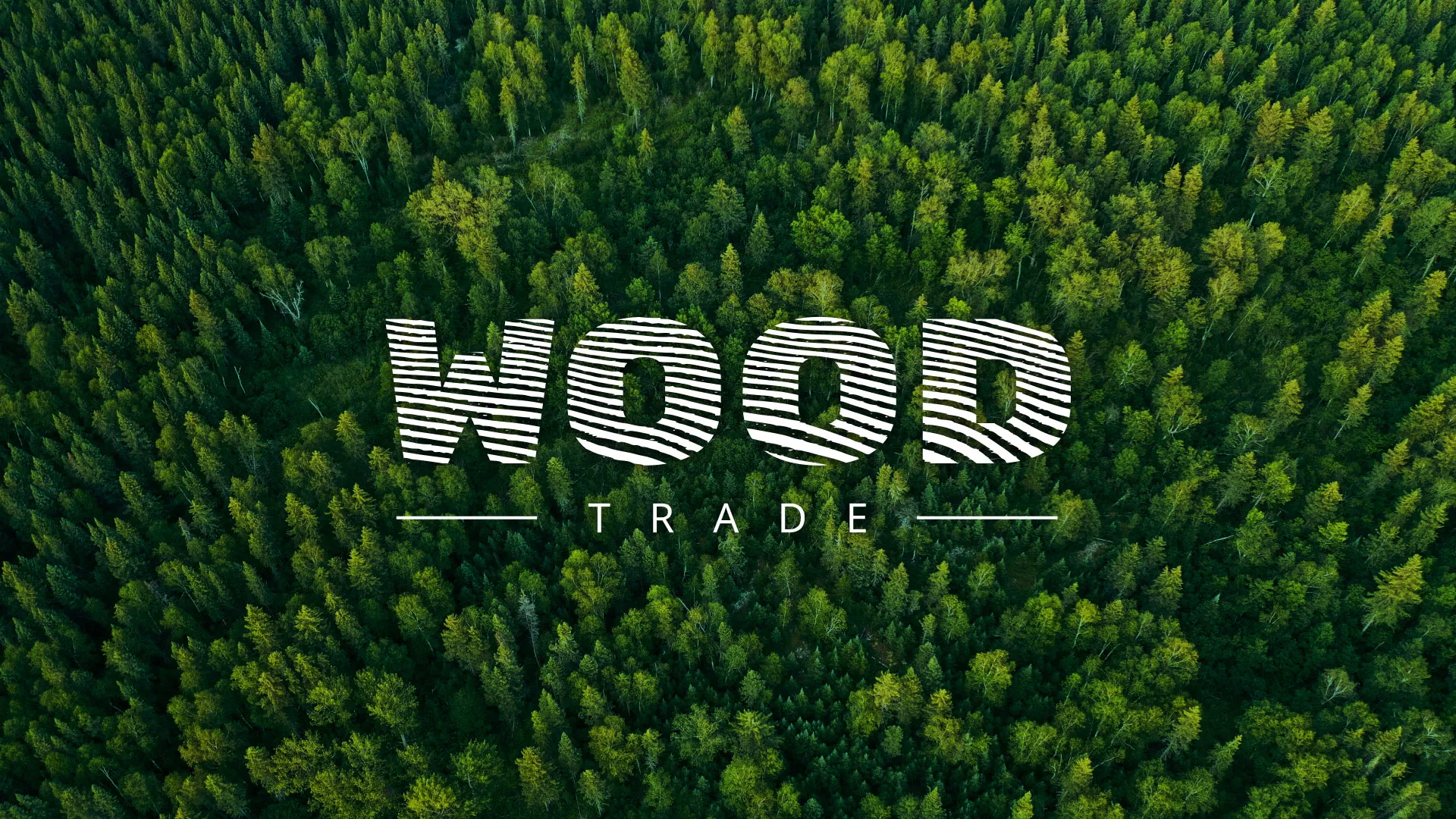 Разработка интернет-магазина компании «Wood Trade» в Сегеже