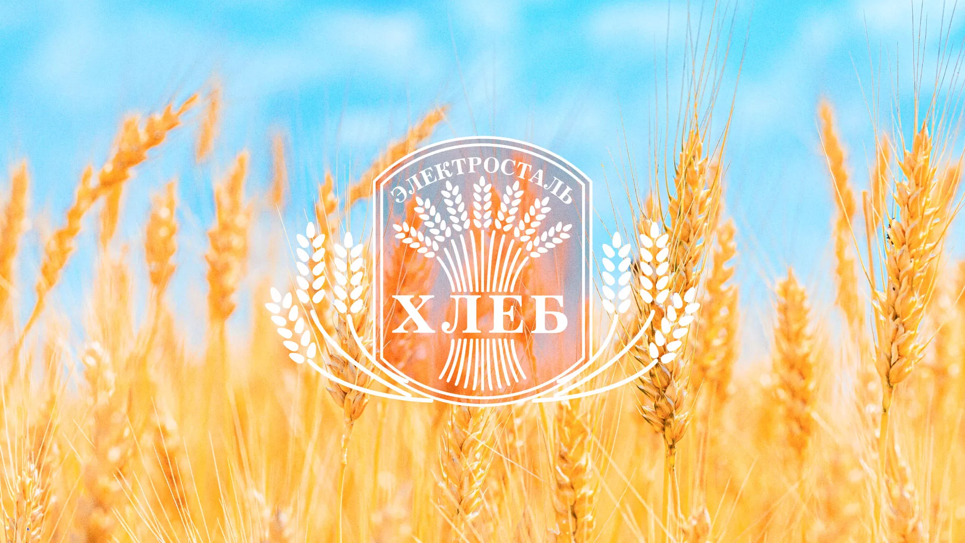 Создание сайта для хлебзавода в Сегеже