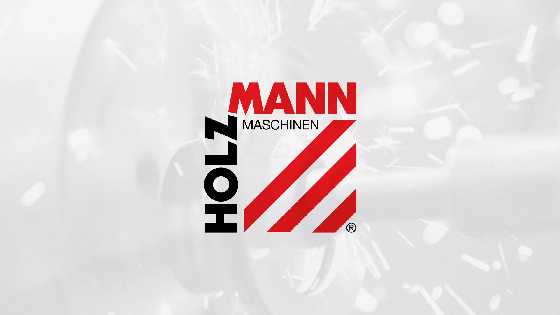 Создание сайта компании «HOLZMANN Maschinen GmbH» в Сегеже